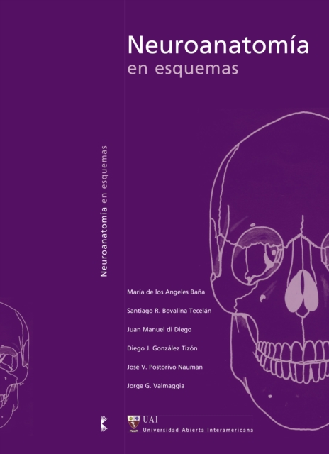 Neuroanatomia en esquemas