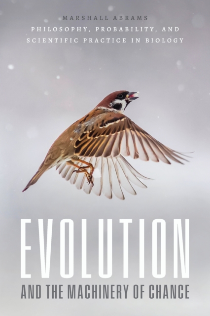 Evolution and the Machinery of Chance