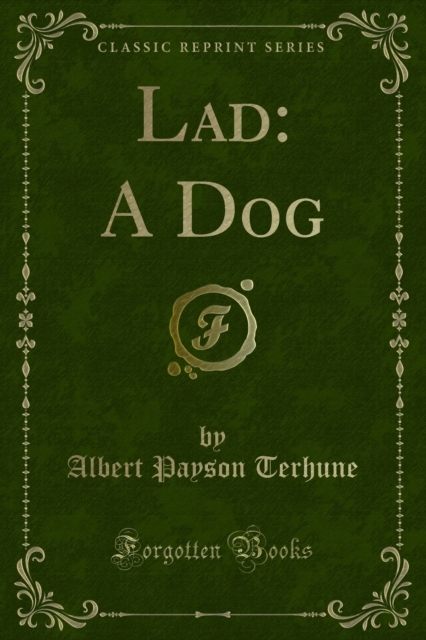 Lad: A Dog
