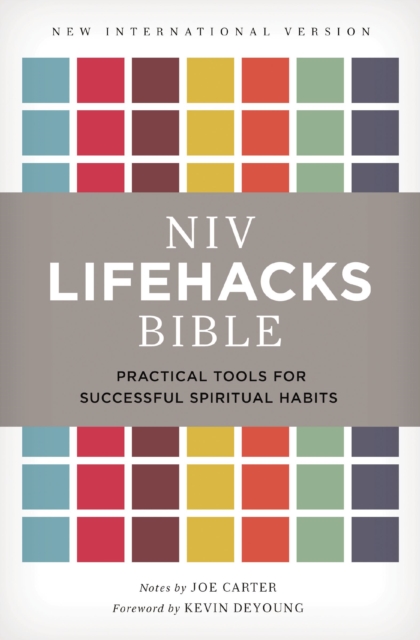 NIV, Lifehacks Bible