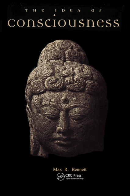 Idea of Consciousness