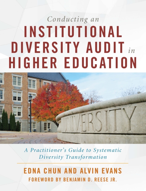 Conducting an Institutional Diversity Audit in Higher Education