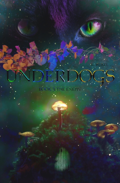 Underdogs: The Enemy | Book 3