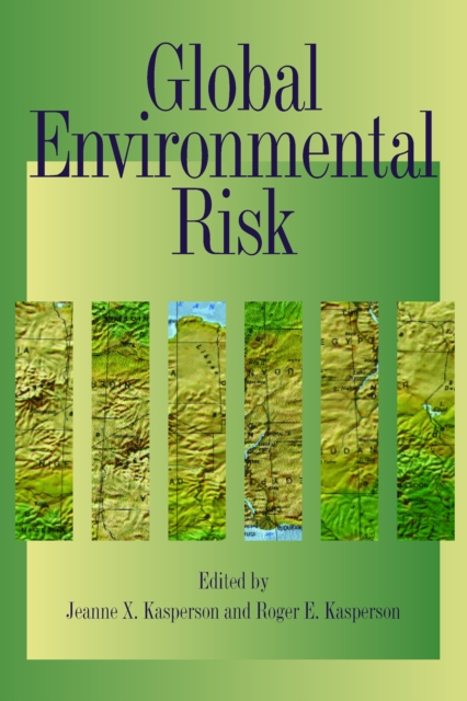 Global Environmental Risk