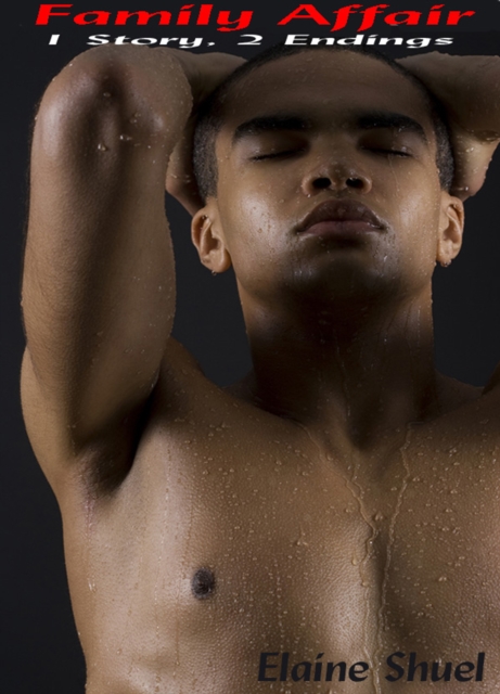 Family Affair: 1 Story, 2 Endings