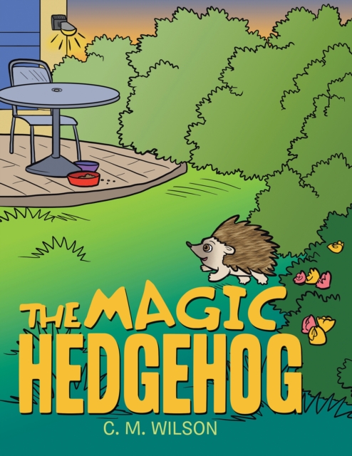 Magic Hedgehog