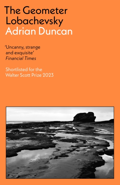 Geometer Lobachevsky