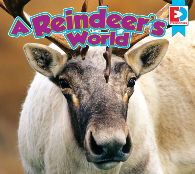 Reindeer's World