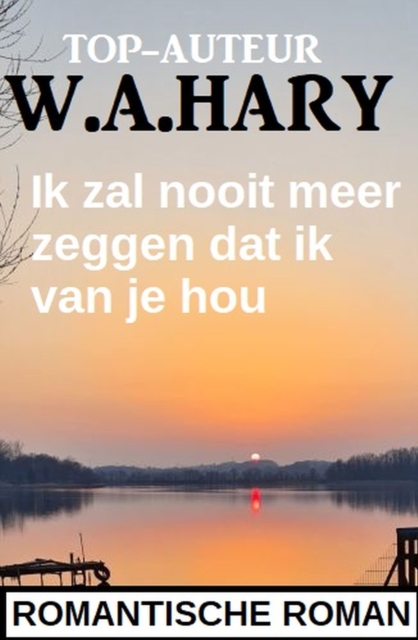 Ik zal nooit meer zeggen dat ik van je hou: Romantische roman