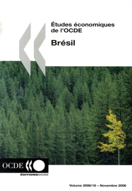 Etudes economiques de l'OCDE : Bresil 2006