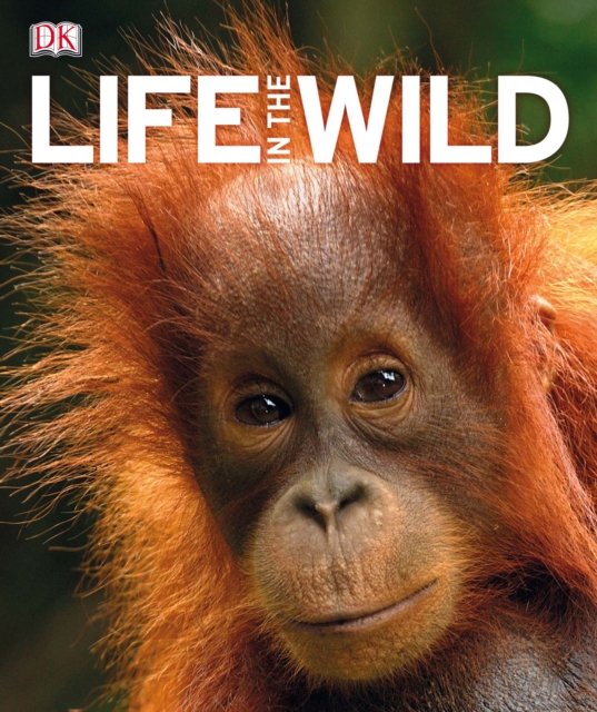 Life In The Wild