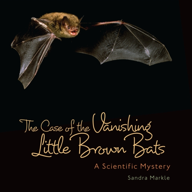 Case of the Vanishing Little Brown Bats