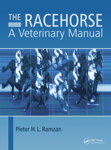 Racehorse