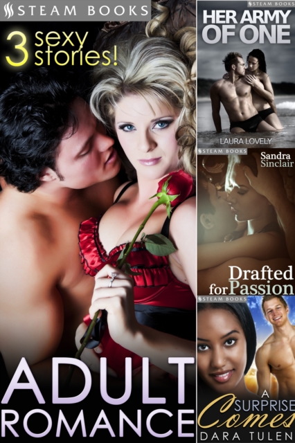 ADULT ROMANCE - 3 Sexy Stories!