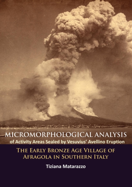 Micromorphological Analysis of Activity Areas Sealed by Vesuvius' Avellino Eruption