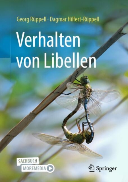 Verhalten von Libellen  