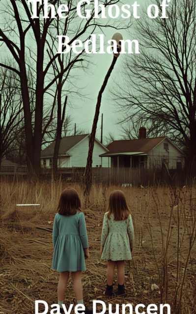 Ghost of Bedlam ( A Horror Novel)