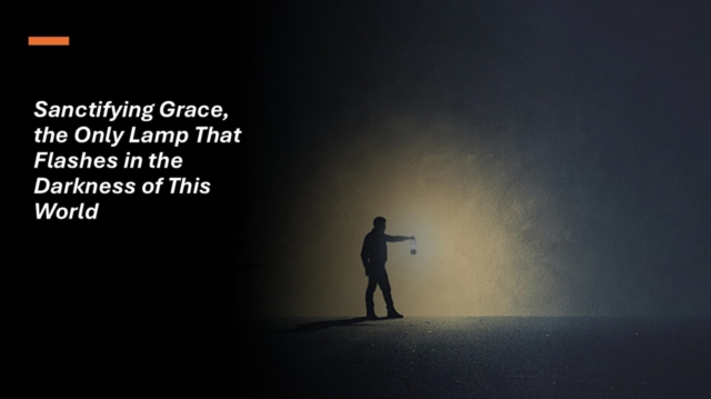 Sanctifying Grace, the Only Lamp That Flashes in the Darkness of This World