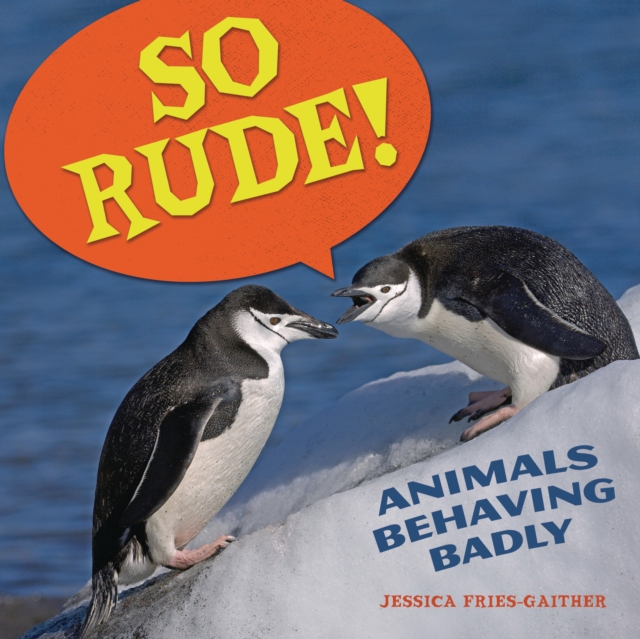 So Rude!