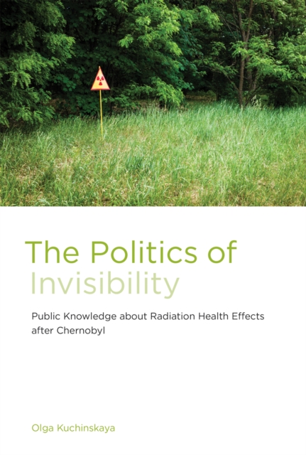 Politics of Invisibility