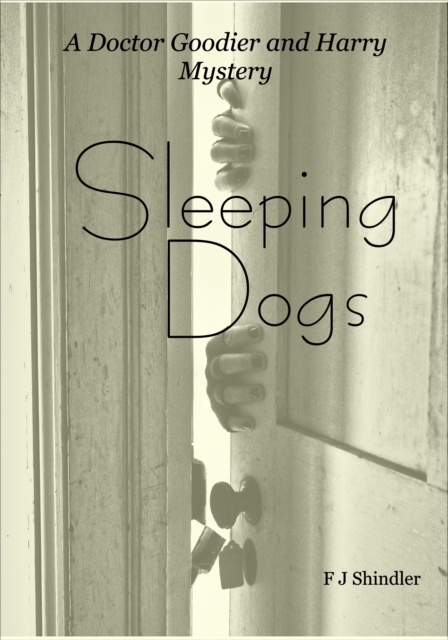 Sleeping Dogs