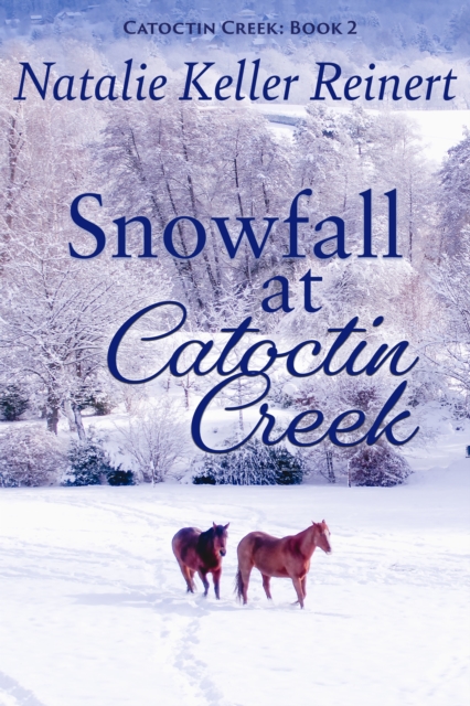 Snowfall at Catoctin Creek
