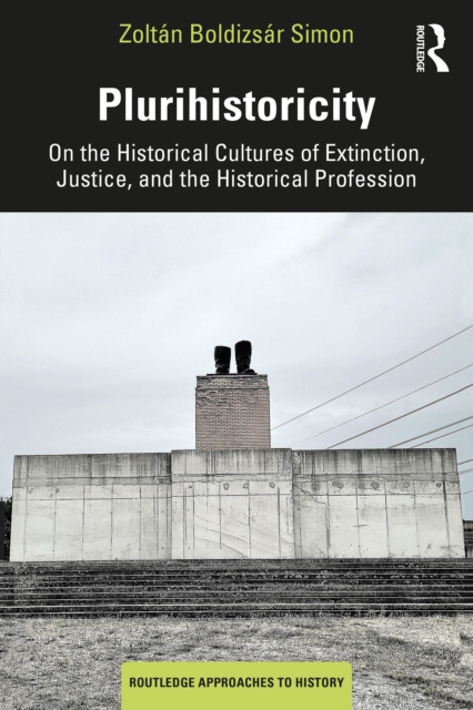 Plurihistoricity