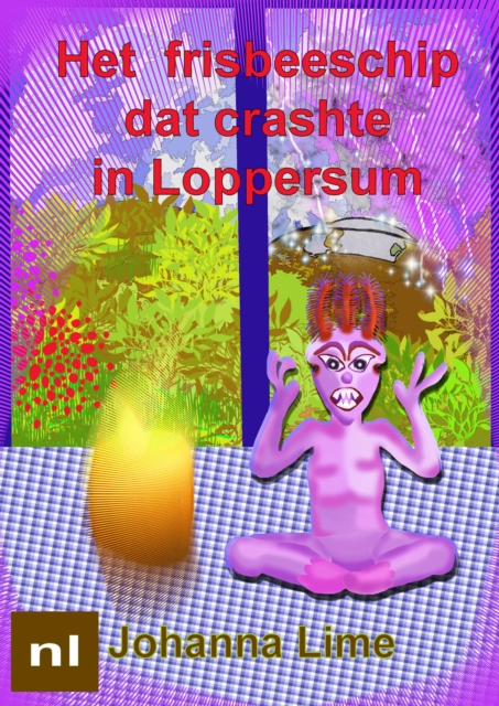 Het frisbeeschip dat crashte in Loppersum