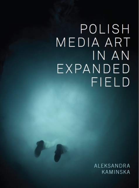 Polish Media Art in an Expanded Field