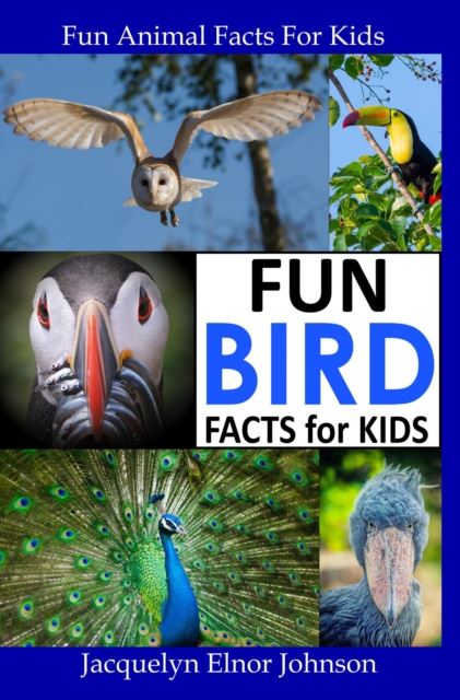 Fun Backyard Bird Facts for Kids