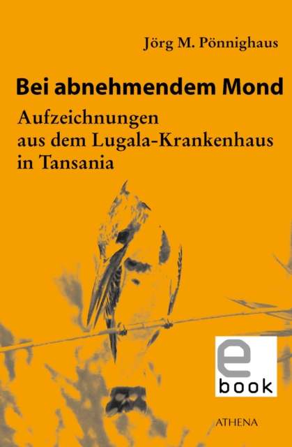 Bei abnehmendem Mond