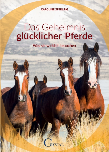 44 goldene Regeln für faires Reiten
