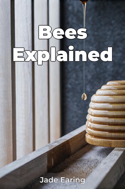 Bees Explained