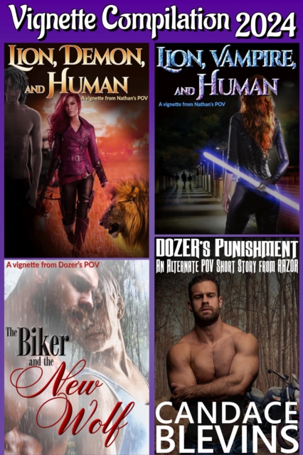 Vignette Compilation 2024