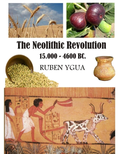 Neolithic Revolution