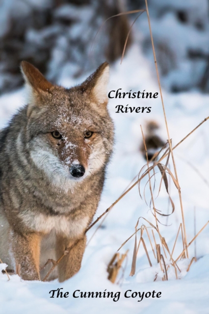 Cunning Coyote