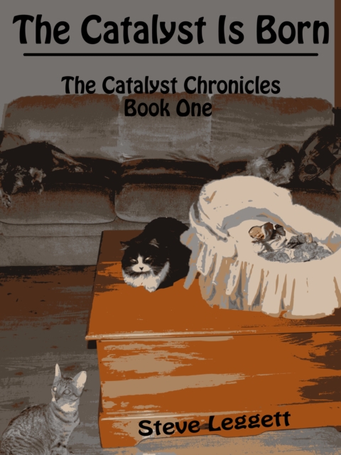 Catalyst is Born: The Catalyst Chronicles - Book One