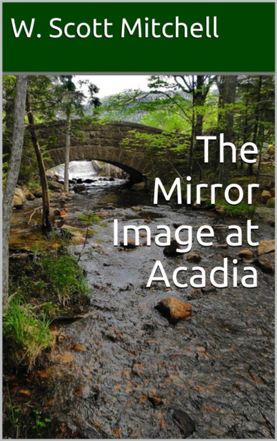 Mirror Image at Acadia