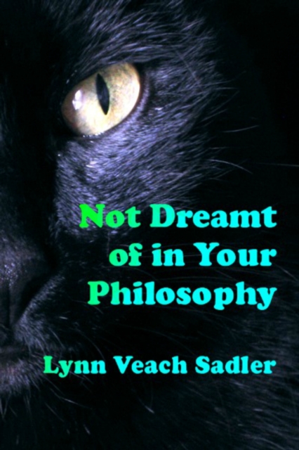 Not Dreamt of in Your Philosophy