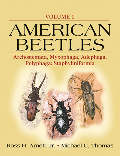 American Beetles, Volume I