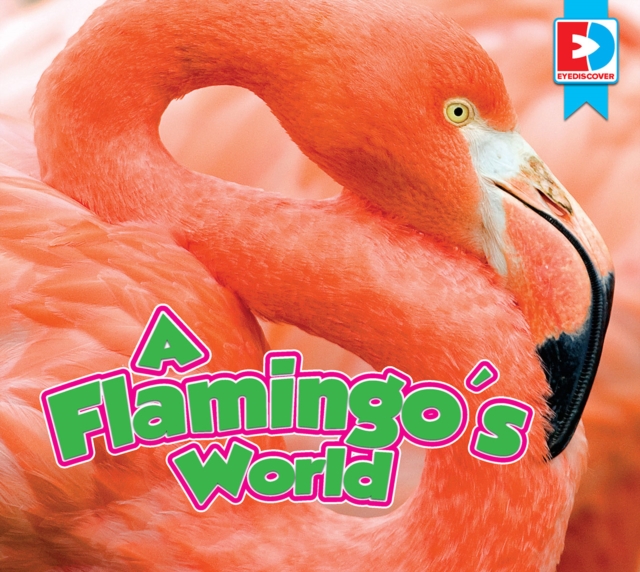 Flamingo's World