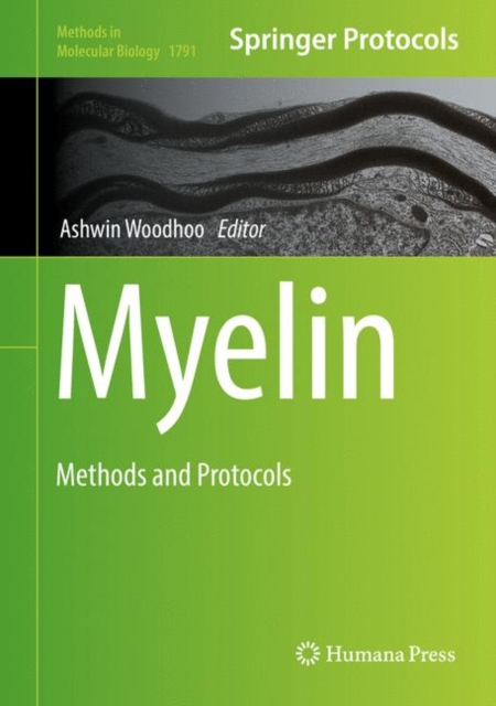 Myelin