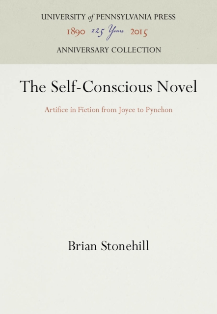 Self-Conscious Novel