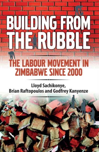 Sachikonye: Building from the Rubble