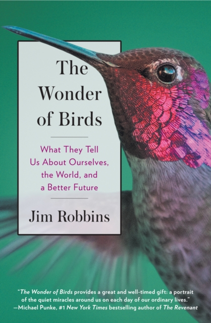 Wonder of Birds