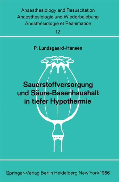 Sauerstoffversorgung und Säure-Basenhaushalt in tiefer Hypothermie