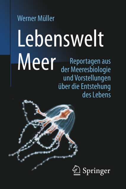Konzepte der Funktionentheorie