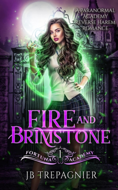 Fire and Brimstone: A Reverse Harem Paranormal Academy Romance