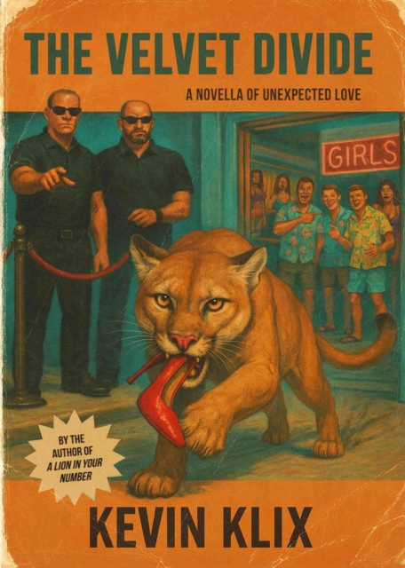 Velvet Divide: A Novella of Unexpected Love