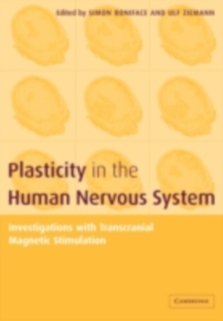 Plasticity in the Human Nervous System